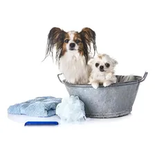 02 Dermogen Shampoo 200ml Cães Gatos Pele Sensível Foto mini  3