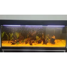 02 Luminárias Aquário Jumbo 200 Cm C/ Suporte Acrilico Wi-fi 12v Foto mini 3
