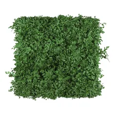 1 M2 Muro Inglês Jardim Vertical Folhagens Preservado Foto mini 1