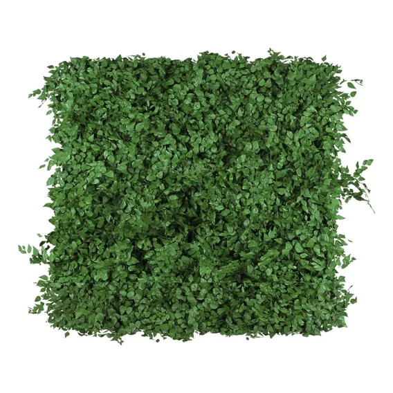 1 M2 Muro Inglês Jardim Vertical Folhagens Preservado Foto 1
