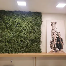 1 M2 Muro Inglês Jardim Vertical Folhagens Preservado Foto mini 3