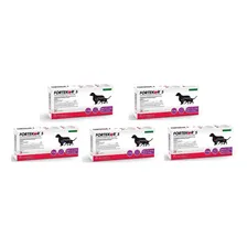 10 Fortekor 5 Flavour Cães Gato 28 Comp. Imediato Foto  mini 1