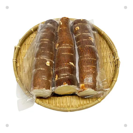 10 Mudas Ramas Manivas De Mandioca Amarela Sem Fiapos Foto 1
