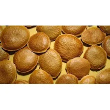 10 Sementes De Sucupira Selecionadas Foto mini 1