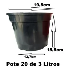 10 Vasos Pote 20 3 Litros Mudas Plantas E Rosa Do Deserto Foto mini 1