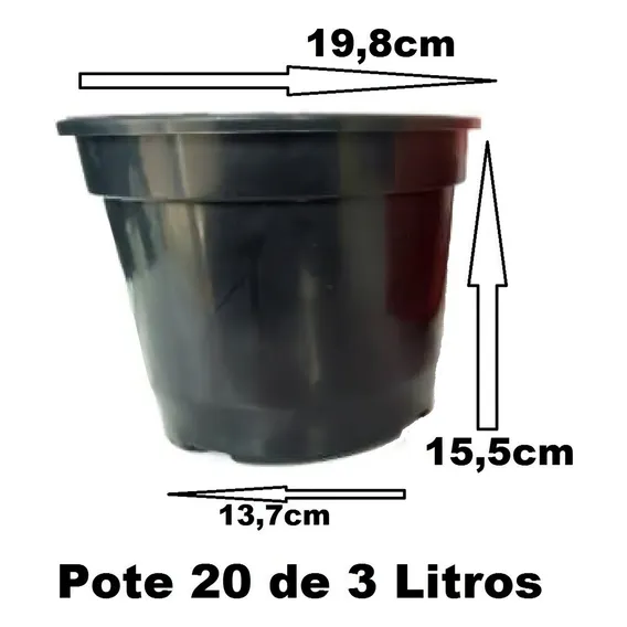 10 Vasos Pote 20 3 Litros Mudas Plantas E Rosa Do Deserto Foto 1