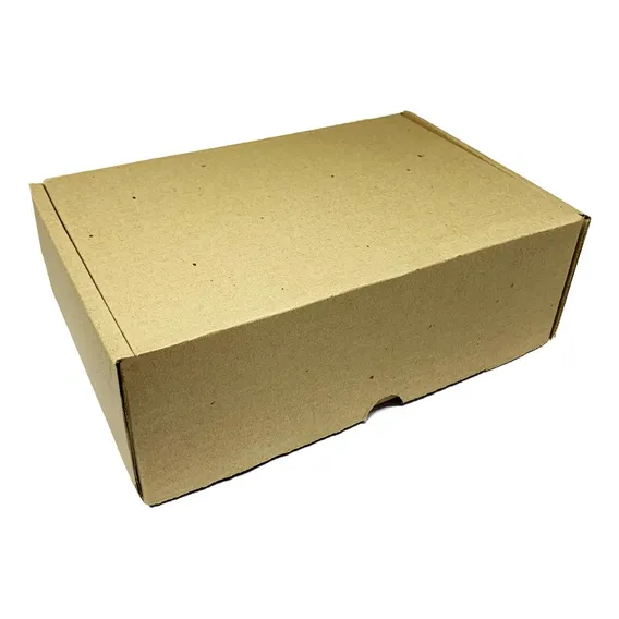 100 Caixas Papelão Sedex Correio Roupas Acessórios 9x18x28,5 Foto 1