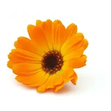 100 Sementes De Cosmea Cor Laranja Foto  mini 1