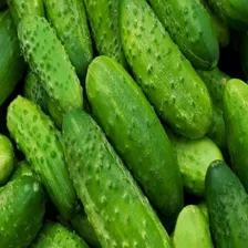 100 Sementes Pepino Caipira + Foto mini 3