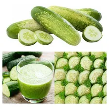 100 Sementes Pepino Caipira + Foto mini 1