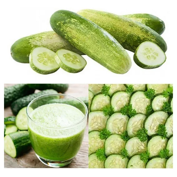 100 Sementes Pepino Caipira + Foto 1