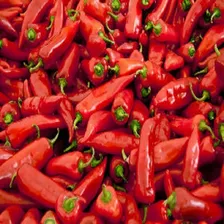 100 Sementes Pimenta Dedo De Moça + Brnde Foto mini 2