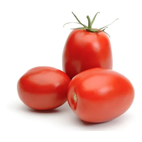 1000 Sementes Tomate HÃbrido Romeu + Manual Plantio Foto 1