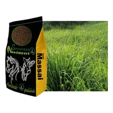 10kg Sementes De Capim Massai Foto mini  2