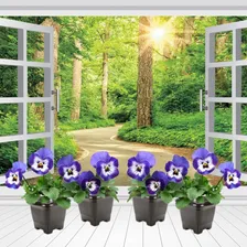 15 Vasos Quadrado Plástico 800ml Preto P/ Plantas E Flores Foto mini 2