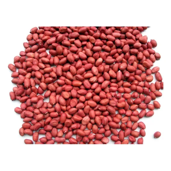 1500 Sementes De Amendoim Vermelho Para Mudas Foto 1