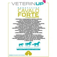 1kg Suplemento Cavalo Forte Crescimento Equino Foto mini 4