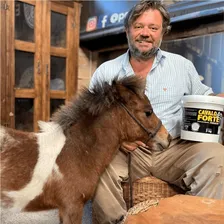 1kg Suplemento Cavalo Forte Crescimento Equino Foto mini 2