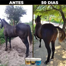 1kg Suplemento Cavalo Forte Premium Foto mini 3