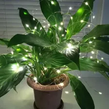 2 Fio Fada Pisca Pisca 3m 30 Leds Luz Natal Decoração Festas Cor das luzes Branco Quente 2 PILHAS Foto mini  3