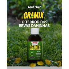 2 Gramix Herbicida Seletivo Gramado Ervas Daninhas 100ml Foto mini  2