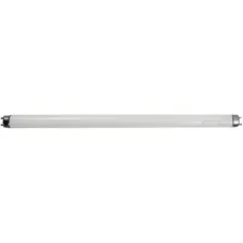 2 Lampada 20w T8 Fluorescente ActÃnica Azul Aquário 60cm Foto mini 1
