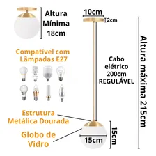 2 Luminárias Pendente 2m Globo 15 Jabuticaba +2 Lâmpadas 12w Foto mini 2