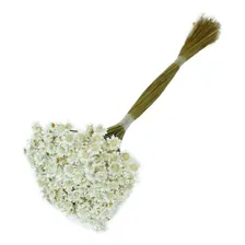 2 Sempre Vivas Florzinha Branca I Flores Desidratadas Foto mini 3