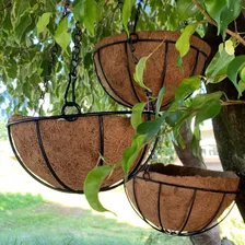 2 Vasos De Fibra De Coco 35cm Plantas Suspenso Com Corrente Foto mini 2