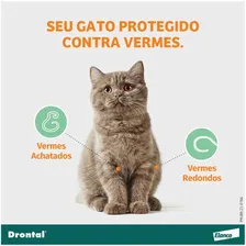 2 VermÃfugo Drontal Gatos Até 4 Kg Com 4 Comprimidos Foto mini 2