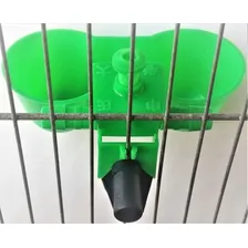 20 Bebedouro Automático Copinho Duplo Galinha Frango Codorna Foto mini 4