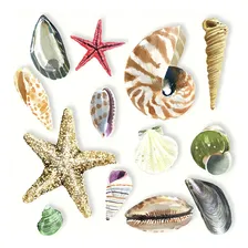20 Guardanapos Para Decoupage Ambiente Shells Foto  mini 1