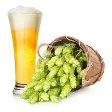 20 Sementes De Lúpulo - Trepadeira Cerveja - Humulus Lupulus Foto mini 1