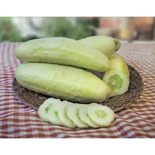 20 Sementes De Pepino Branco Para Cultivo - Raro E Delicioso Foto mini 1