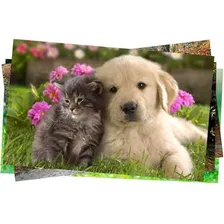 200 Folhas Papel Fotográfico Glossy 230g A4 Branco Brilhante Foto mini  2