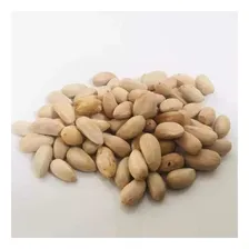 200 Sementes De Neem Nim Indiano Sementes Novas Foto mini 3