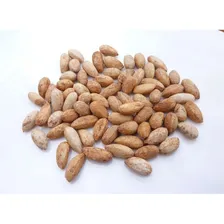 200 Sementes De Neem Nim Indiano Sementes Novas Foto mini 4