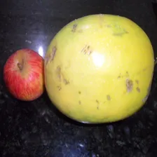 200 Sementes Maracujá Gigante Azedo Foto mini 3