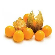 200 Sementes Physalis + Foto mini 2