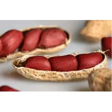 2000 Sementes De Amendoim Vermelho Para Mudas Foto mini 1
