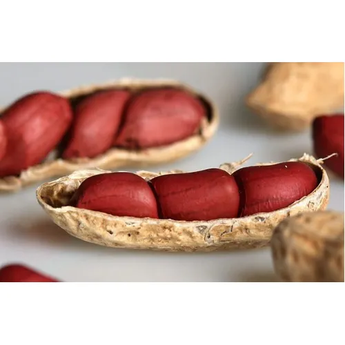 2000 Sementes De Amendoim Vermelho Para Mudas Foto 1