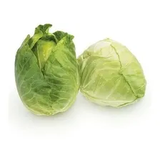 2x Sementes Repolho Verde Cabeça Coração De Boi 10g Topseed Foto mini 4