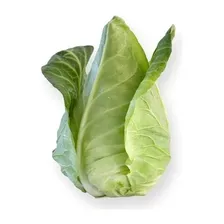 2x Sementes Repolho Verde Cabeça Coração De Boi 10g Topseed Foto mini 3