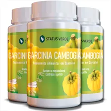 3 Potes Garcinia Cambogia 100% Natural - Kit 360 Cáps Sabor Sem Sabor Foto  mini 1