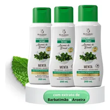 3 Sabonete Líquido Feminino De Menta Vegano Foto mini 1