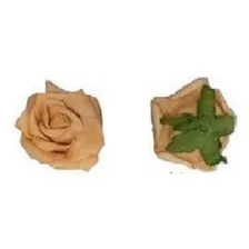 30 Rosas De Eva Cor Nude Com Folhas Sem Cabo Flor Cor Nude Outonal Foto mini 3