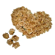 30 Rosas De Eva Cor Nude Com Folhas Sem Cabo Flor Cor Nude Outonal Foto mini 2