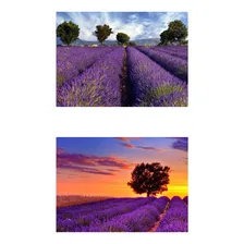 30 Sementes Importadas De Alfazema Lavanda Francesa Flor Foto mini 1