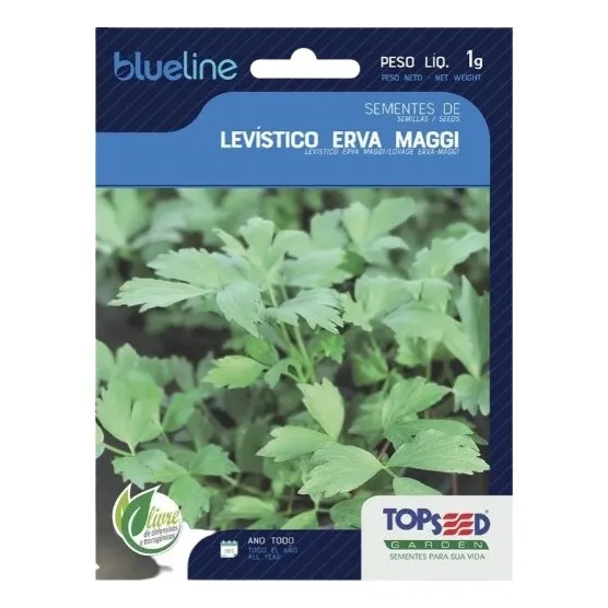 350 Sementes De Levistico Erva Maggi Tempero Topseed 1 Grama Foto 1