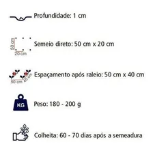 350 Sementes De Pepino Caipira - 10 G Foto  mini 1